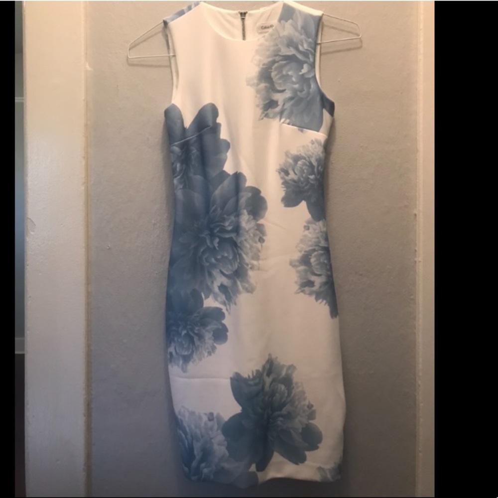 Calvin Klein sheath floral dress size 0p